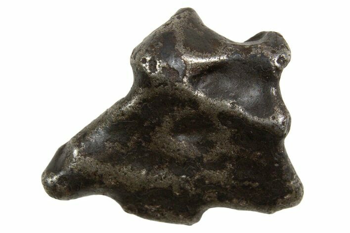 Fusion Crusted Sikhote-Alin Iron Meteorite ( g) - Russia #334599